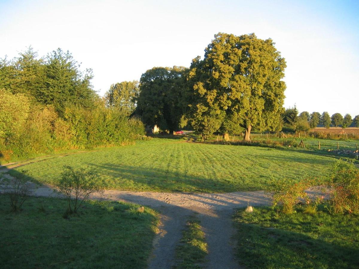 Cosy Apartment In Semlow Germany With Garden Luaran gambar
